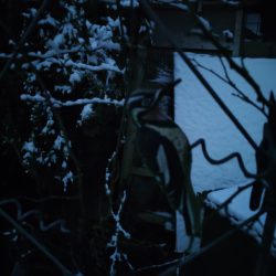 Xiaomi 12T Pro - hlavní fotoaparát, ve tmě, noční režim