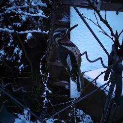 Xiaomi 12 Pro - hlavní fotoaparát, ve tmě, noční režim