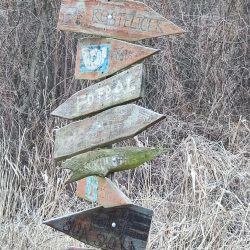 2x optický zoom, Xiaomi 12 Pro