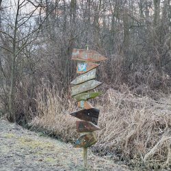 Hlavní fotoaparát, Xiaomi 12 Pro