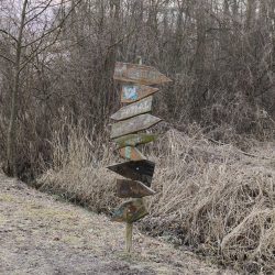 Hlavní fotoaparát, Vivo X90 Pro