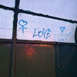 Hlavní fotoaparát, noční režim, Vivo X90 Pro