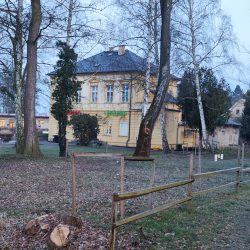 2x optický zoom, Xiaomi 12 Pro