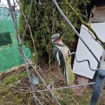 Ultraširokoúhlý fotoaparát