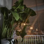 Hlavní fotoaparát, velmi špatné světlo bez nočního režimu