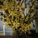 Hlavní fotoaparát, velmi špatné světlo s nočním režimem