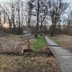 Ultraširokoúhlý fotoaparát