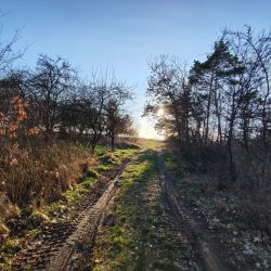 Ultraširokoúhlý fotoaparát