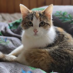 V šeru hlavním fotoaparátem