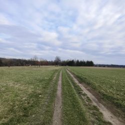 Ultraširokoúhlý fotoaparát