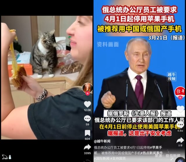 TikTok vlevo / Douyin vpravo