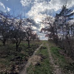 Ultraširokoúhlý fotoaparát