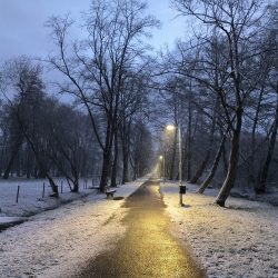 Hlavní fotoaparát, špatné světlo