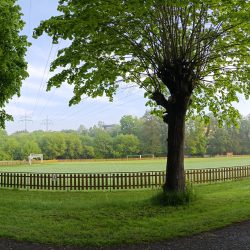 Xiaomi 13 Pro - panorama