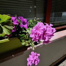 Ultraširokoúhlý fotoaparát, špatné světlo, noční režim