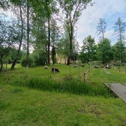 Ultraširokoúhlý fotoaparát