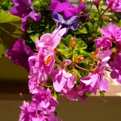 Špatmé světlo s nočním režimem