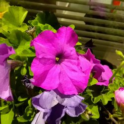 Špatmé světlo s nočním režimem