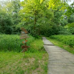 Ultraširokoúhlý fotoaparát