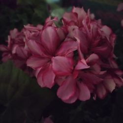 Ve tmě bez nočního režimu