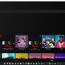 BlackHole pro Windows