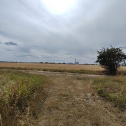 Ultraširokoúhlý fotoaparát