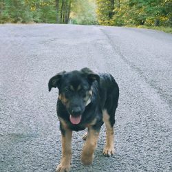 S filtry v Xiaomi editoru