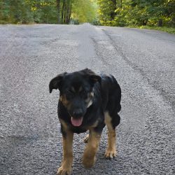 Po odstranění osoby a manuálním odstraněním vodítka