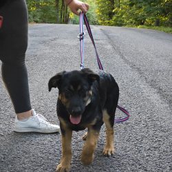 Originál před úpravou