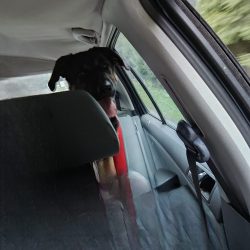 Fotka po odstranění osoby