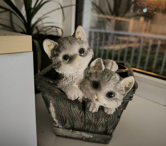 Hlavní fotoaparát, noční režim