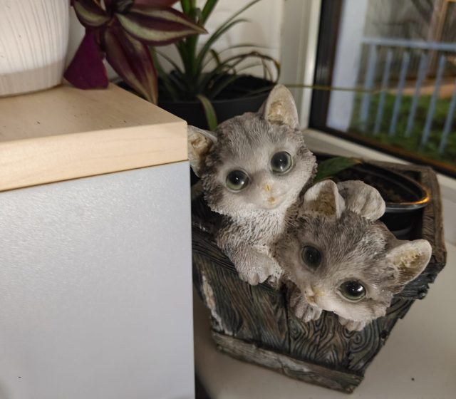 Hlavní fotoaparát, noční režim