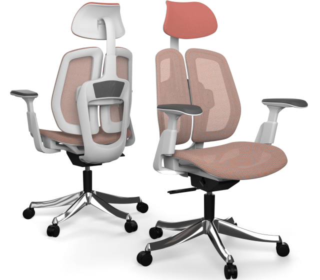 Síťovaná verze - Produktový snímek