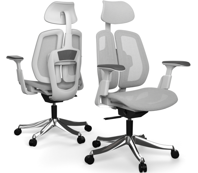 Síťovaná verze - Produktový snímek