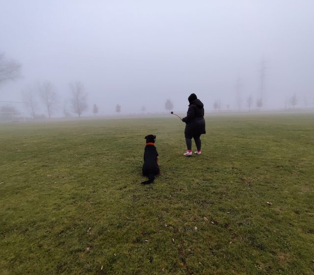 Ultraširokoúhlý fotoaparát