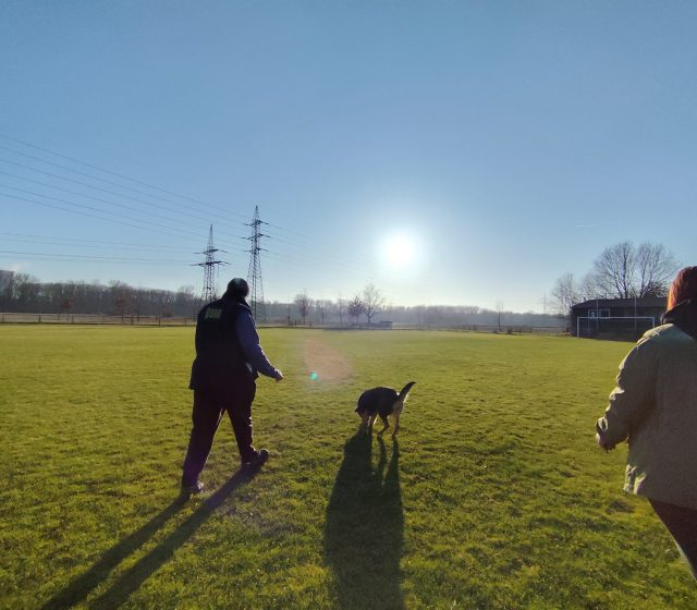 Ultraširokoúhlý fotoaparát, silné protisvětlo, za chůze