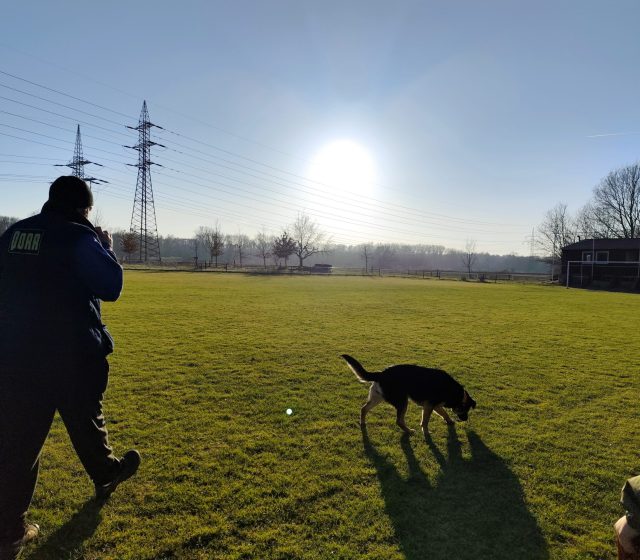 Hlavní fotoaparát, silné protisvětlo, za chůze