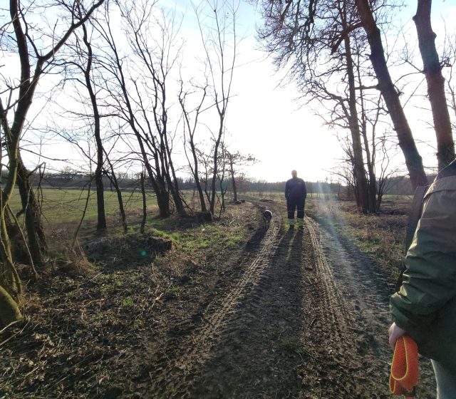 Ultraširokoúhlý fotoaparát