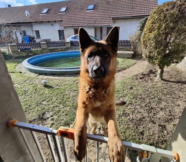 Ultraširokoúhlý fotoaparát