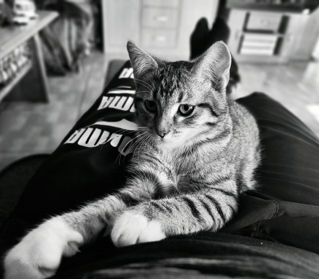 S černobílým filtrem