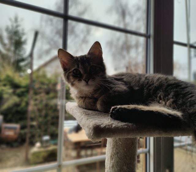 Za horších světelných podmínek