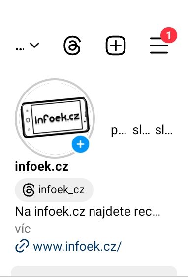 Instagram klient MyInsta