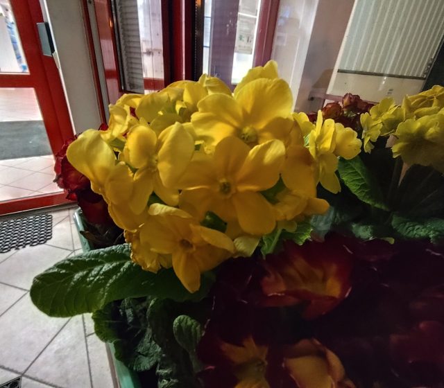 Ultraširokoúhlý fotoaparát, noční režim