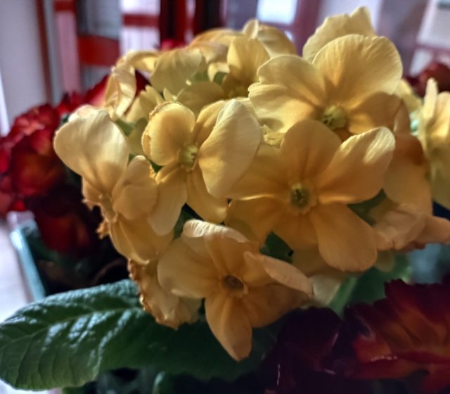 Hlavní fotoaparát, noční režim