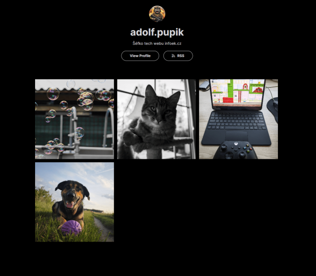 Vytvořené portfolio na Pixelfedu