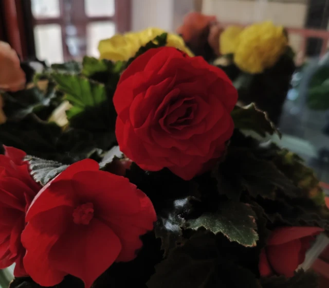 Hlavní fotoaparát, noční režim