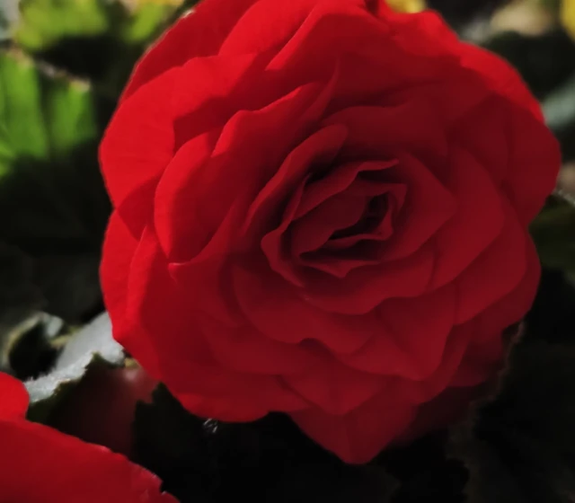 2x zoom, noční režim