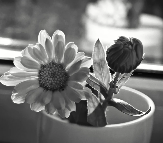 Filtr Leica BW HC s upravením světelného rozsahu a zřetelnosti. tyto funkce jsou v editoru pod "Přizpůsobit"