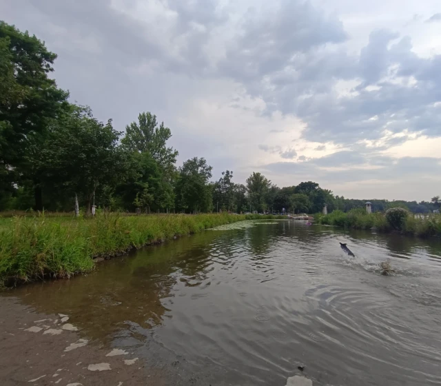 Ultraširokoúhlý fotoaparát