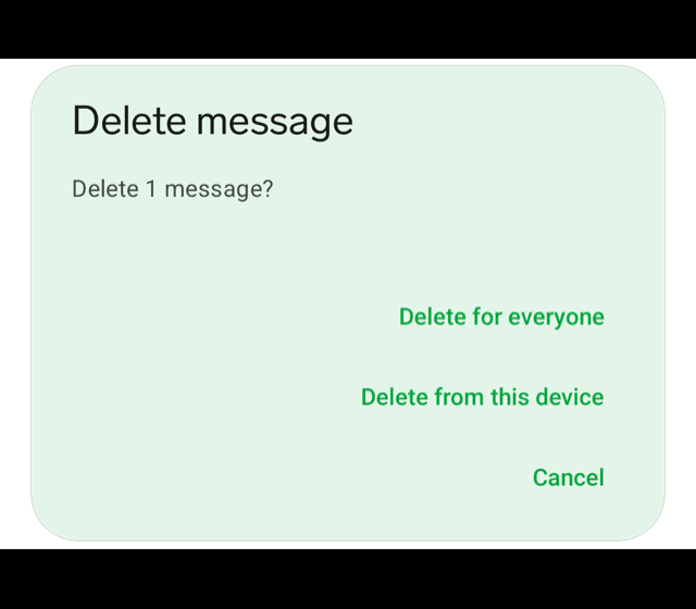 Možnosti odstranění zpráv, Zdroj: Threema